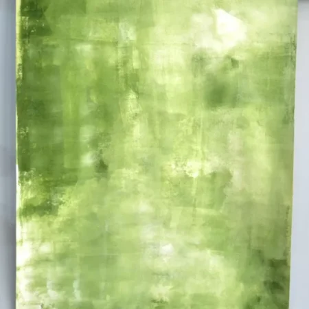 خلفية تصوير قماشية - كنفاس