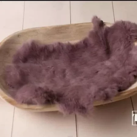 فرو ارنب طبيعي