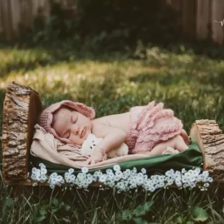 سرير تصوير مواليد من اغصان الشجر الطبيعي